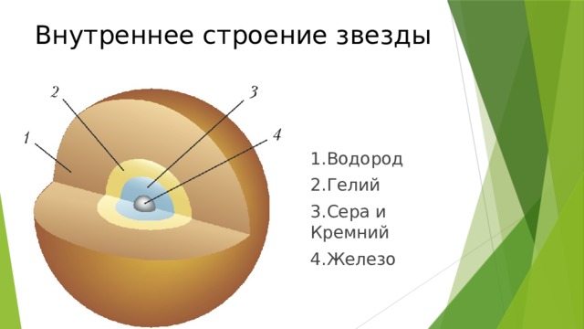 Строение звезды картинка