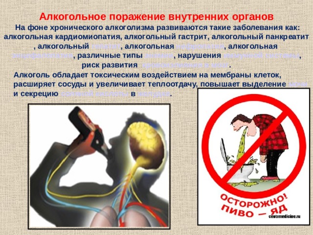 Алкогольное поражение внутренних органов  На фоне хронического алкоголизма развиваются такие заболевания как: алкогольная кардиомиопатия , алкогольный гастрит , алкогольный панкреатит , алкогольный гепатит , алкогольная нефропатия , алкогольная энцефалопатия , различные типы анемии , нарушения иммунной системы , риск развития кровоизлияния в мозг . Алкоголь обладает токсическим воздействием на мембраны клеток , расширяет сосуды и увеличивает теплоотдачу, повышает выделение мочи и секрецию соляной кислоты в желудке . 