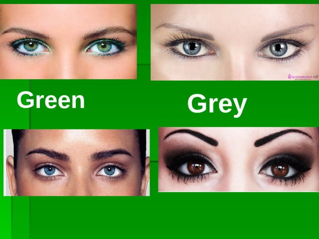 Green  Grey 