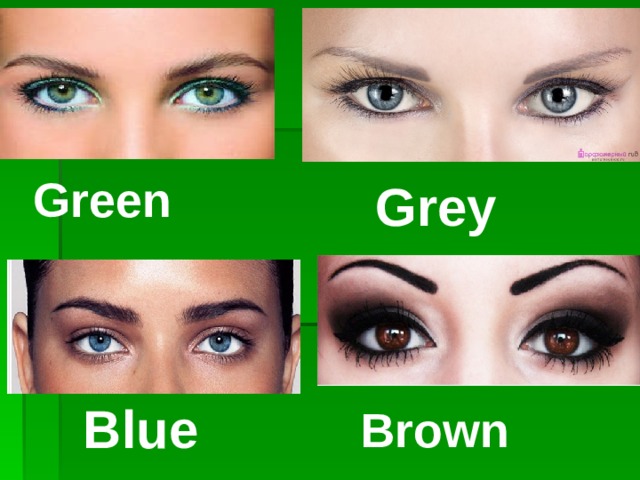 Green  Grey Blue Brown 