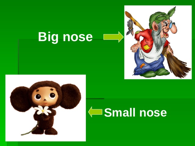 Big nose Small nose 
