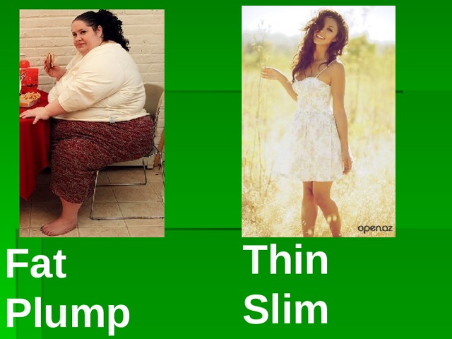  Thin  Slim  Fat Plump 