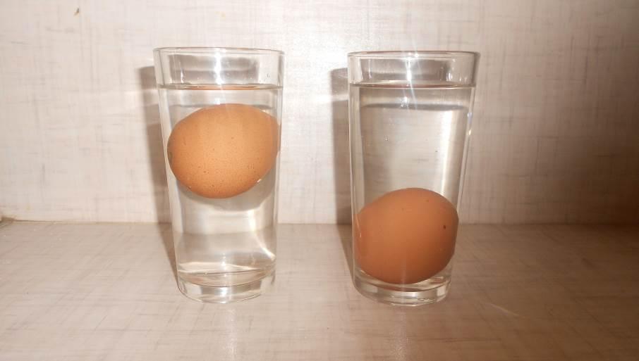 Почему вареное яйцо всплыло в воде. Свежесть яйца в стакане. Яйцо всплывает в воде. Яйцо в стакане с водой свежесть. Яйцо не всплывает.