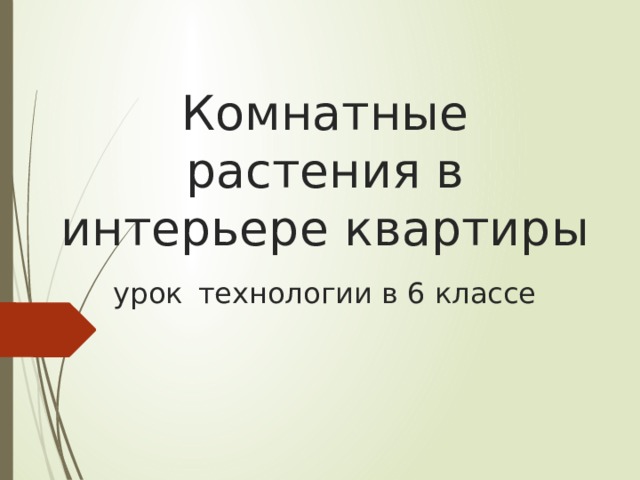 Комнатные растения в интерьере квартиры  урок  технологии в 6 классе  