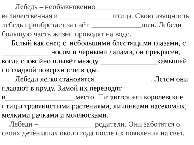 Лебедь – необыкновенно______________, величественная и ______________птица. Свою изящность лебедь приобретает за счёт _____________шеи. Лебеди большую часть жизни проводят на воде.  Белый как снег, с небольшими блестящими глазами, с _____________носом и чёрными лапами, он прекрасен, когда спокойно плывёт между _______________камышей по гладкой поверхности воды.  Лебеди легко становятся_______________. Летом они плавают в пруду. Зимой их переводят в__________________ место. Питаются эти королевские птицы травянистыми растениями, личинками насекомых, мелкими рачками и моллюсками.  Лебеди –_______________родители. Они заботятся о своих детёнышах около года после их появления на свет.