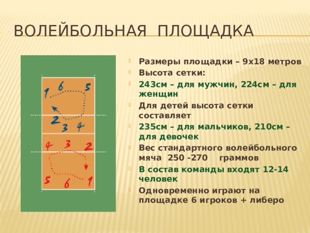 Размер волейбольной площадки и названия линий