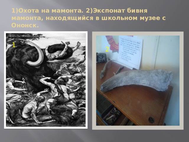 1)Охота на мамонта. 2)Экспонат бивня мамонта, находящийся в школьном музее с Ононск. 1 . 2 