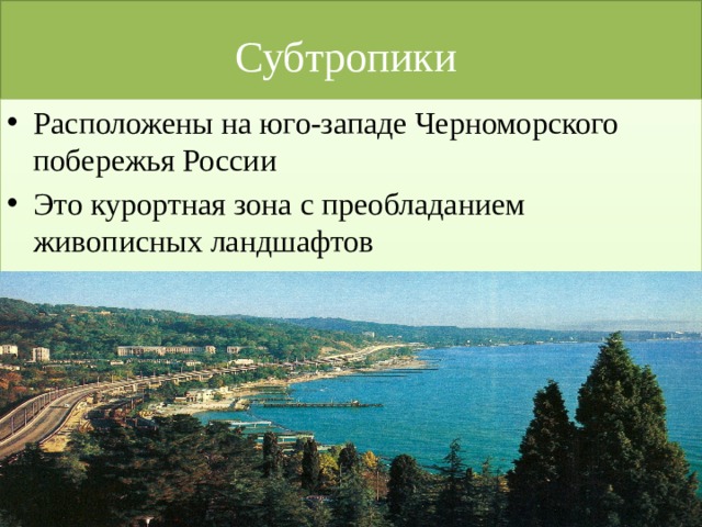 Субтропики на побережье какого моря находится