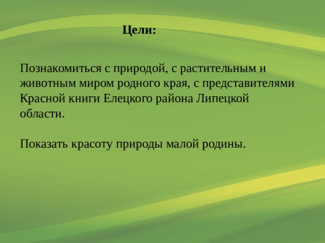 Проект разнообразие природы родного края 3