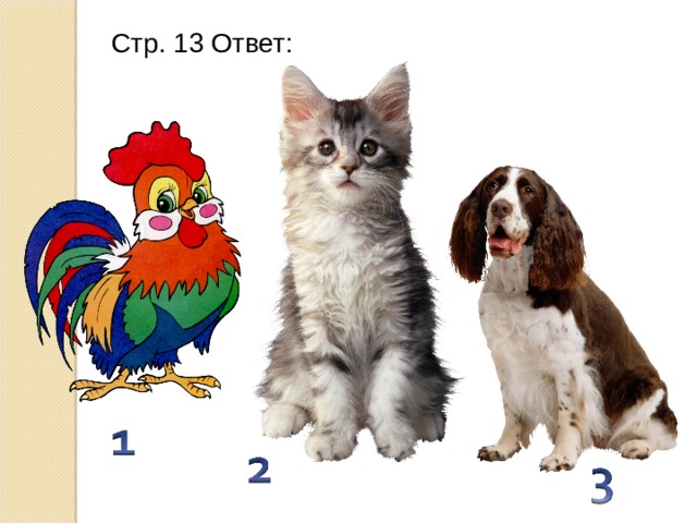 Стр. 13 Ответ: 