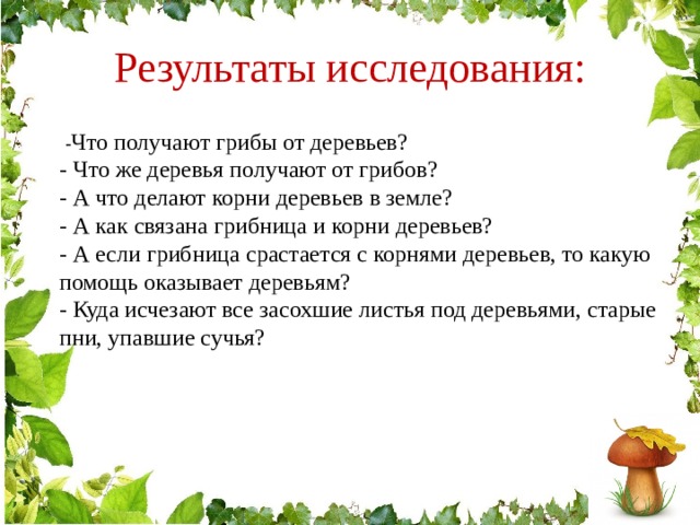 Взаимосвязь грибов и деревьев в природе