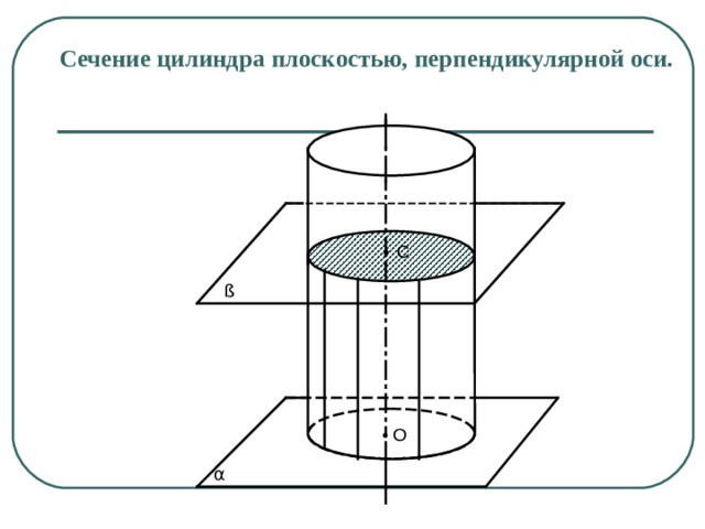 Сечение цилиндра плоскостью, перпендикулярной оси. • С ß • O α 