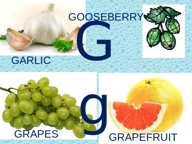 GOOSEBERRY Gg GARLIC GRAPES GRAPEFRUIT 