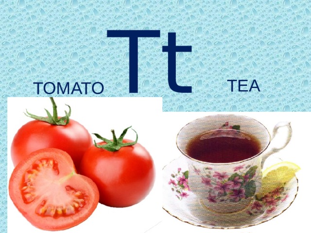 Tt TEA TOMATO 