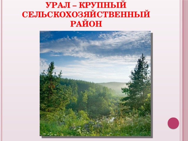 Урал – крупный сельскохозяйственный район 