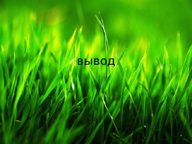 вывод 