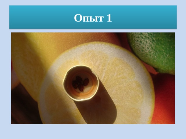 Опыт 1 
