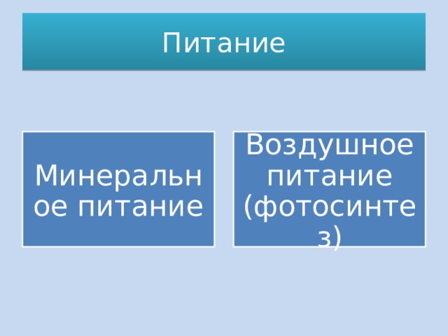 Питание Минеральное питание Воздушное питание (фотосинтез) 