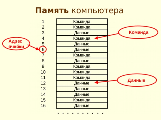 Память компьютера Команда Адрес ячейки Данные . . . . . . . . . . 