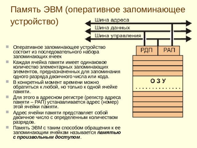 Ячейка памяти компьютера состоит из однородных элементов. Память ЭВМ. Запоминающие устройства ЭВМ. Память ЭВМ представляет собой. Ячейки памяти ЭВМ.