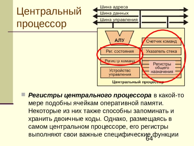 Центральный процессор Регистры центрального процессора в какой-то мере подобны ячейкам оперативной памяти. Некоторые из них также способны запоминать и хранить двоичные коды. Однако, размещаясь в самом центральном процессоре, его регистры выполняют свои важные специфические функции 