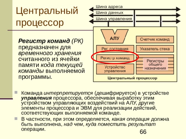 Центральный процессор  Регистр команд (РК) предназначен для временного хранения считанного из ячейки памяти кода текущей команды выполняемой программы. К оманда интерпретируется  ( дешифрируется ) в устройстве управления процессора, обеспечивая выработку этим устройством управляющих воздействий на АЛУ, другие элементы процессора и ЭВМ для реализации действий, соответствующих выполняемой команде. В частности, при этом определяется, какая операция должна быть выполнена, над чем , куда поместить результат операции.  
