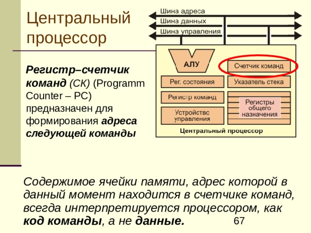 Центральный процессор  Регистр–счетчик команд (СК) (Programm Counter – PC) предназначен для формирования адреса следующей команды   С одержимое ячейки памяти, адрес которой в данный момент находится в счетчике команд, всегда интерпретируется процессором, как код команды , а  не данные.  
