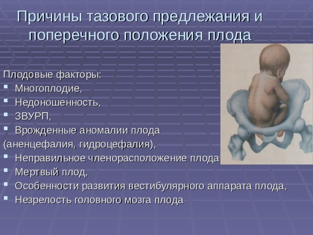 Причины тазового предлежания и поперечного положения плода Плодовые факторы: Многоплодие, Недоношенность, ЗВУРП, Врожденные аномалии плода (аненцефалия, гидроцефалия), Неправильное членорасположение плода, Мертвый плод, Особенности развития вестибулярного аппарата плода, Незрелость головного мозга плода   