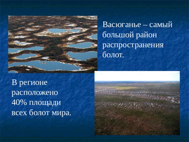 Более 10 территории россии занимают болота можно. Васюганье географическое положение. Районы наибольшего распространения болот. Болота географическое положение.