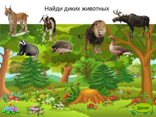 Игры найти диких животных