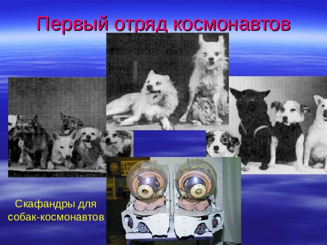 Первый отряд космонавтов Скафандры для собак-космонавтов 