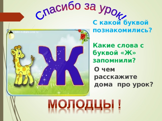 Есть города на букву ж. Характеристика буквы ж 1 класс. Слова на букву ж. Буква ж задания для 1 класса. На что похоже буква ж.