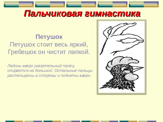 Пальчиковая гимнастика Петушок Петушок стоит весь яркий, Гребешок он чистит лапкой. Ладонь вверх указательный палец опирается на большой. Остальные пальцы растопырены в стороны и подняты вверх. 