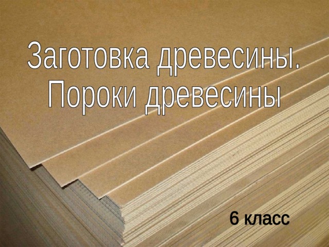 Пороки древесины 6 класс технология презентация