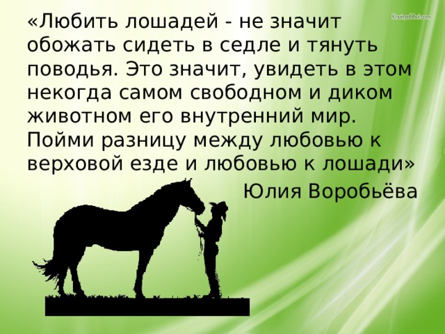 Сидели обозначает. Что любят лошади. Обожаю лошадей. Стихи про лошадей грустные. Люблю лошадку.