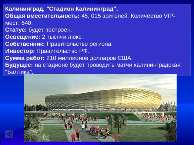 Все стадионы будут подходить под требования ФИФА: 105 на 68 метров   Все стадионы будут с естественным зелёным покрытием Все стадионы будут оборудованы удобными транспортными подъездами. Россия готова предоставить 74 гостиницы. Каждый заявленный отель будет соответствовать четырём или пяти звёздам.