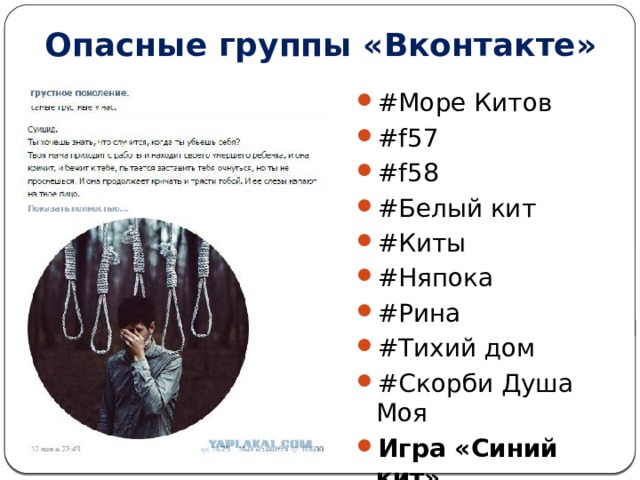 Дом китов тихий дом. Группа f57.