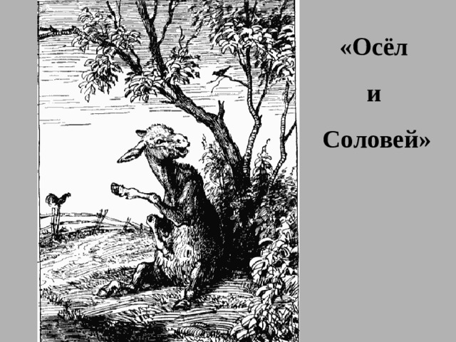 «Осёл и Соловей» 