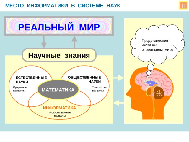 МЕСТО ИНФОРМАТИКИ В СИСТЕМЕ НАУК  РЕАЛЬНЫЙ МИР Представления человека о реальном мире Научные знания ОБЩЕСТВЕННЫЕ ЕСТЕСТВЕННЫЕ НАУКИ НАУКИ       МАТЕМАТИКА Социальные Природные процессы процессы   ИНФОРМАТИКА Информационные процессы 