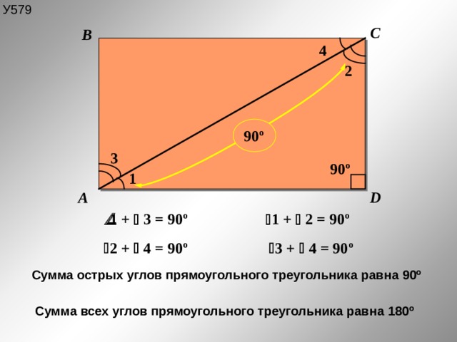 У579 C B 4 2 90 º 3 90 º 1 D A  1 +  3 = 90 º  1 +  2 = 90 º  2 +  4 = 90 º  3 +  4 = 90 º Сумма острых углов прямоугольного треугольника равна 90 º Сумма всех углов прямоугольного треугольника равна 180 º