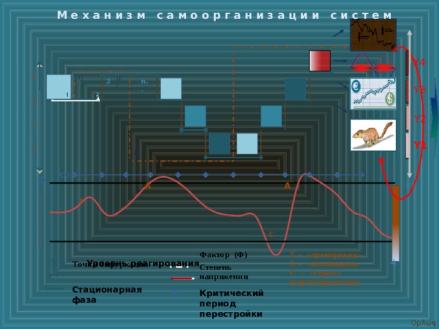 Механизм самоорганизации систем    III II  Y4 4 n.. 2  Y3 1 I 3  Y2 2  Y1 1 IV Т Кп Ф А  УР А С Т – «тренировка»  Фактор (Ф) А – «активация» С – «стресс» (перенапряжение)  Точки бифуркации Степень напряжения  УР Уровень реагирования Стационарная фаза Критический период перестройки Ορλώφ  