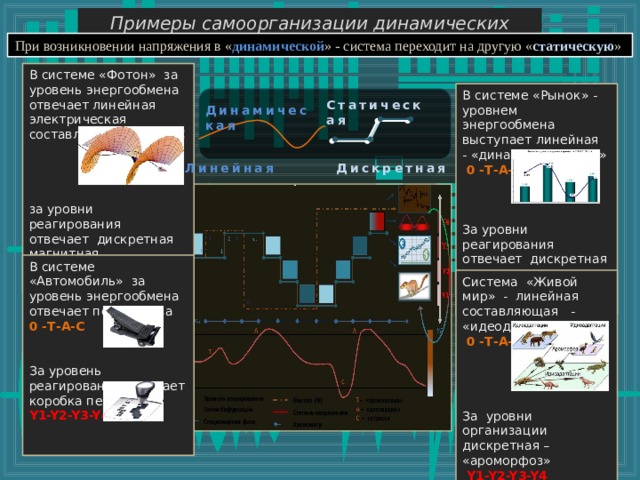 Примеры самоорганизации динамических систем При возникновении напряжения в « динамической » - система переходит на другую « статическую » В системе «Фотон» за уровень энергообмена отвечает линейная электрическая составляющая 0 -Т-А-С за уровни реагирования отвечает дискретная магнитная составляющая Y1-Y2-Y3-Y4 В системе «Рынок» - уровнем энергообмена выступает линейная - «динамика продаж»  0 -Т-А-С За уровни реагирования отвечает дискретная составляющая - «отрасль»  Y1-Y2-Y3-Y4 Статическая Динамическая  Дискретная  Линейная В системе «Автомобиль» за уровень энергообмена отвечает педаль газа 0 -Т-А-С За уровень реагирования отвечает коробка передач Y1-Y2-Y3-Y4  Система «Живой мир» - линейная составляющая - «идеодаптация»  0 -Т-А-С За уровни организации дискретная – «ароморфоз»  Y1-Y2-Y3-Y4 