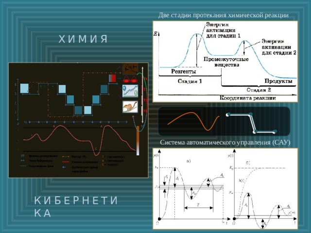Две стадии протекания химической реакции ХИМИЯ  Система автоматического управления (САУ) КИБЕРНЕТИКА  