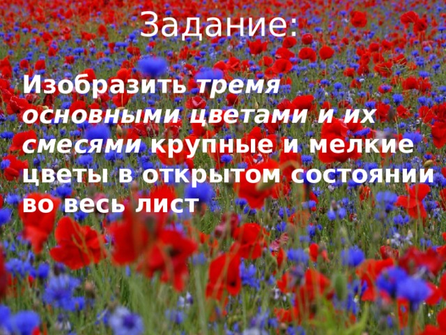 Задание: Изобразить тремя  основными  цветами  и  их  смесями крупные и мелкие цветы в открытом состоянии во весь лист 