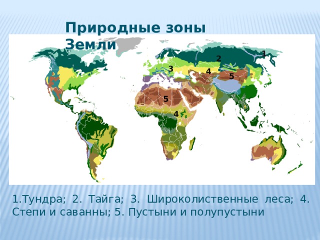 Природные зоны земли биология 5. Карта природные зоны земли 6 класс география. Природные зоны земли карта 5 класс биология. Размещение природных зон на земле.