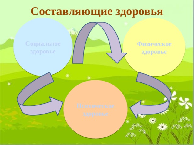 Составляющие здоровья Социаль н ое здоровье Физическое здоровье Психическое здоровье 