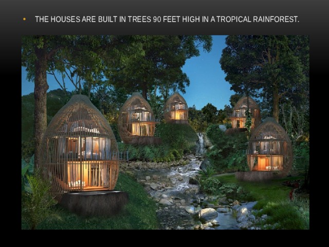 THE HOUSES ARE BUILT IN TREES 90 FEET HIGH IN A TROPICAL RAINFOREST. 