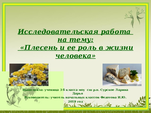 Презентация к исследовательской работе "Плесень и ее роль в жизни человека"