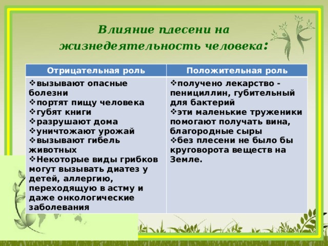 Какое положительное значение. Положительная роль плесени. Положительная и отрицательная роль животных. Роль плесени в жизни человека. Отрицательная роль животных в жизни человека.