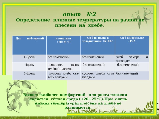 Исследовательский проект температура